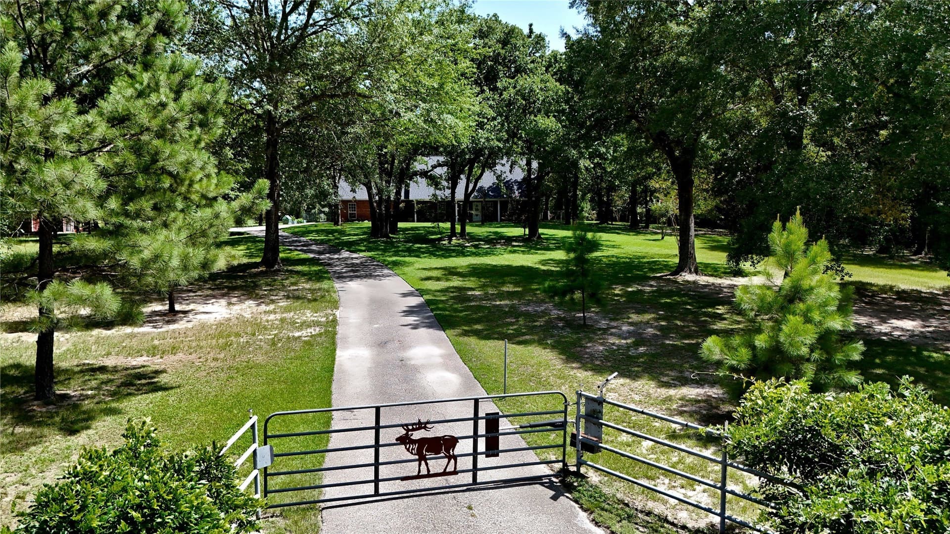 14.19 acres in Henderson County - photo 3