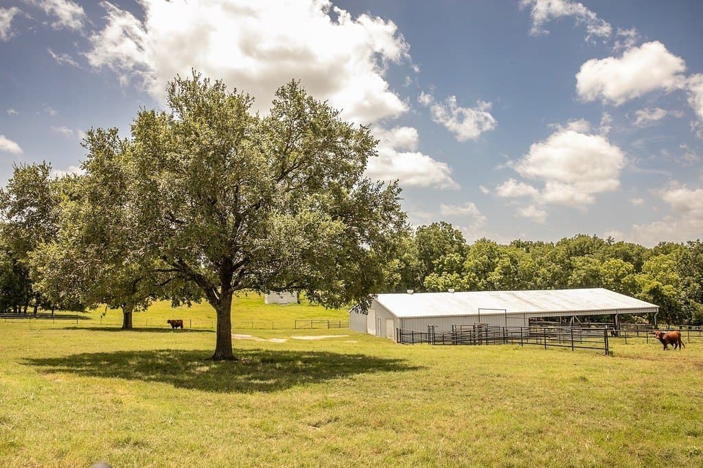 30.88 acres in Washington County gallery image 3