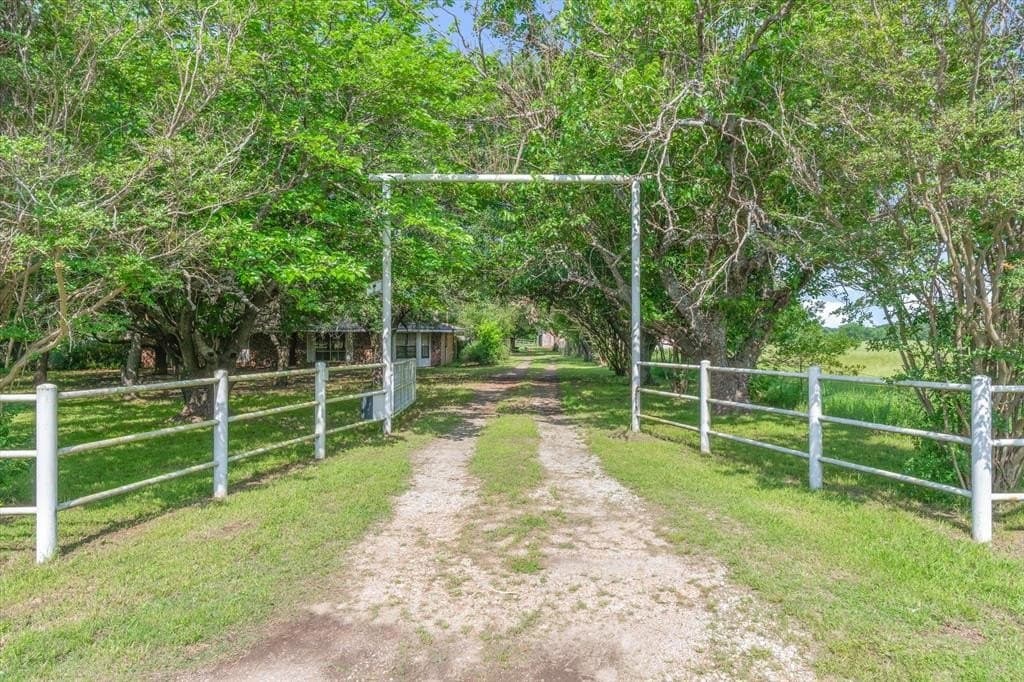 175.2 acres in Kaufman County gallery image 4