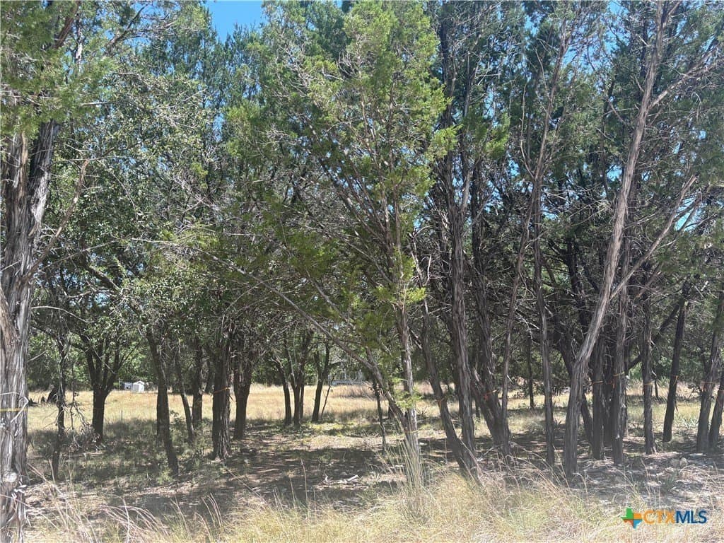 11.25 acres in Lampasas County - photo 2