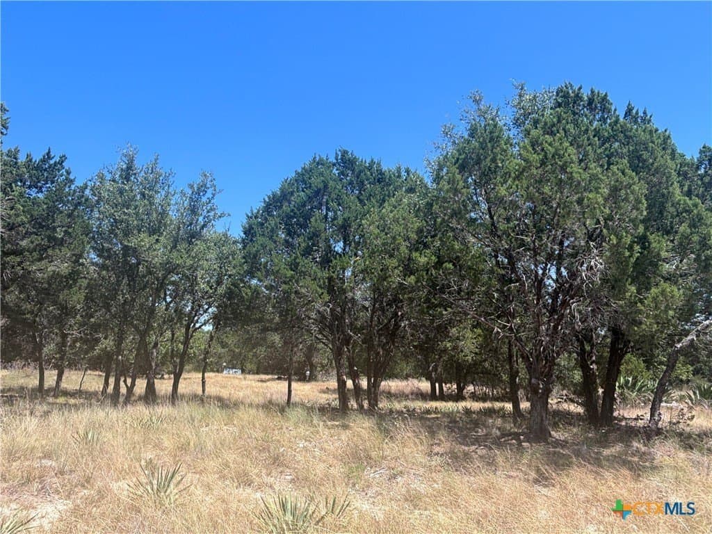 11.25 acres in Lampasas County - photo 3