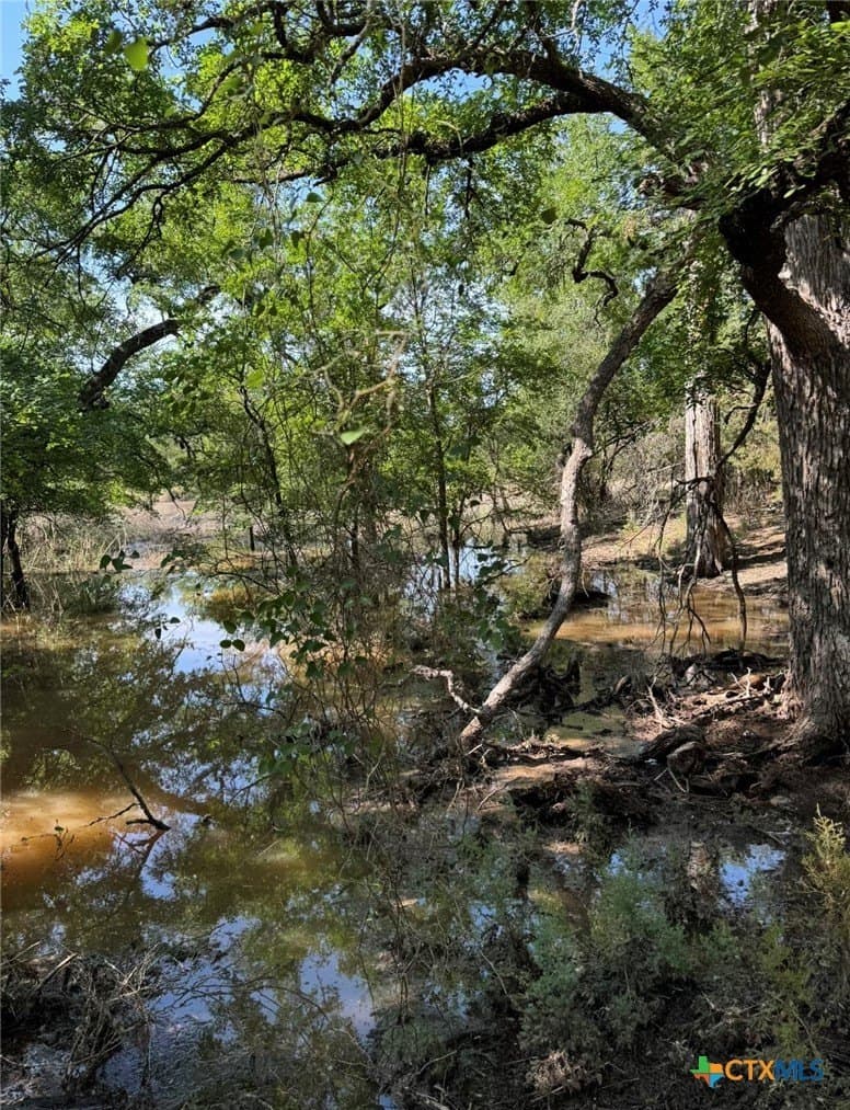 11.25 acres in Lampasas County - photo 5
