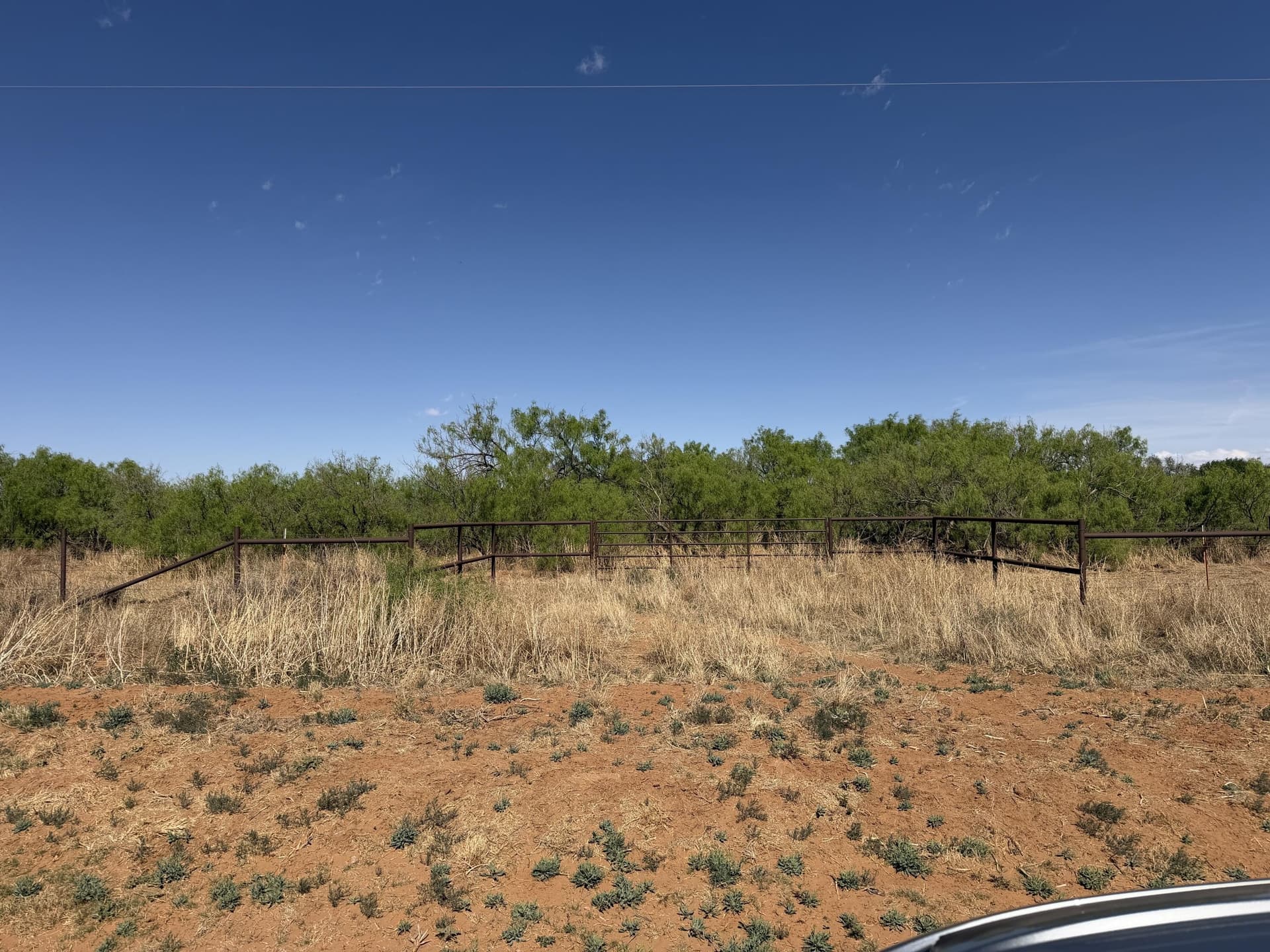 10 acres in Dawson County gallery image 4