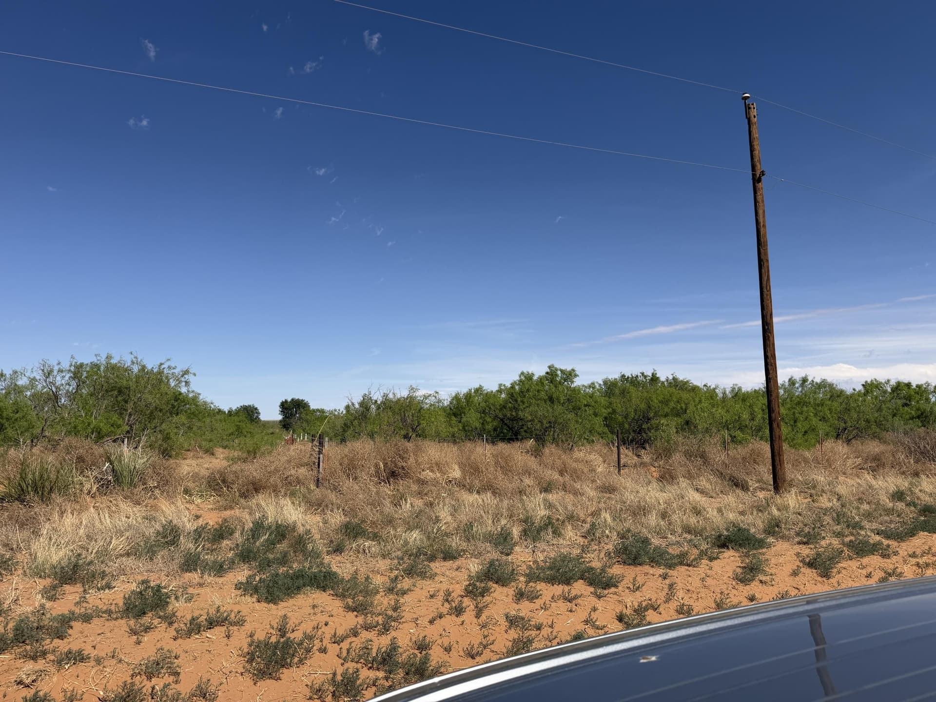 10 acres in Dawson County gallery image 3