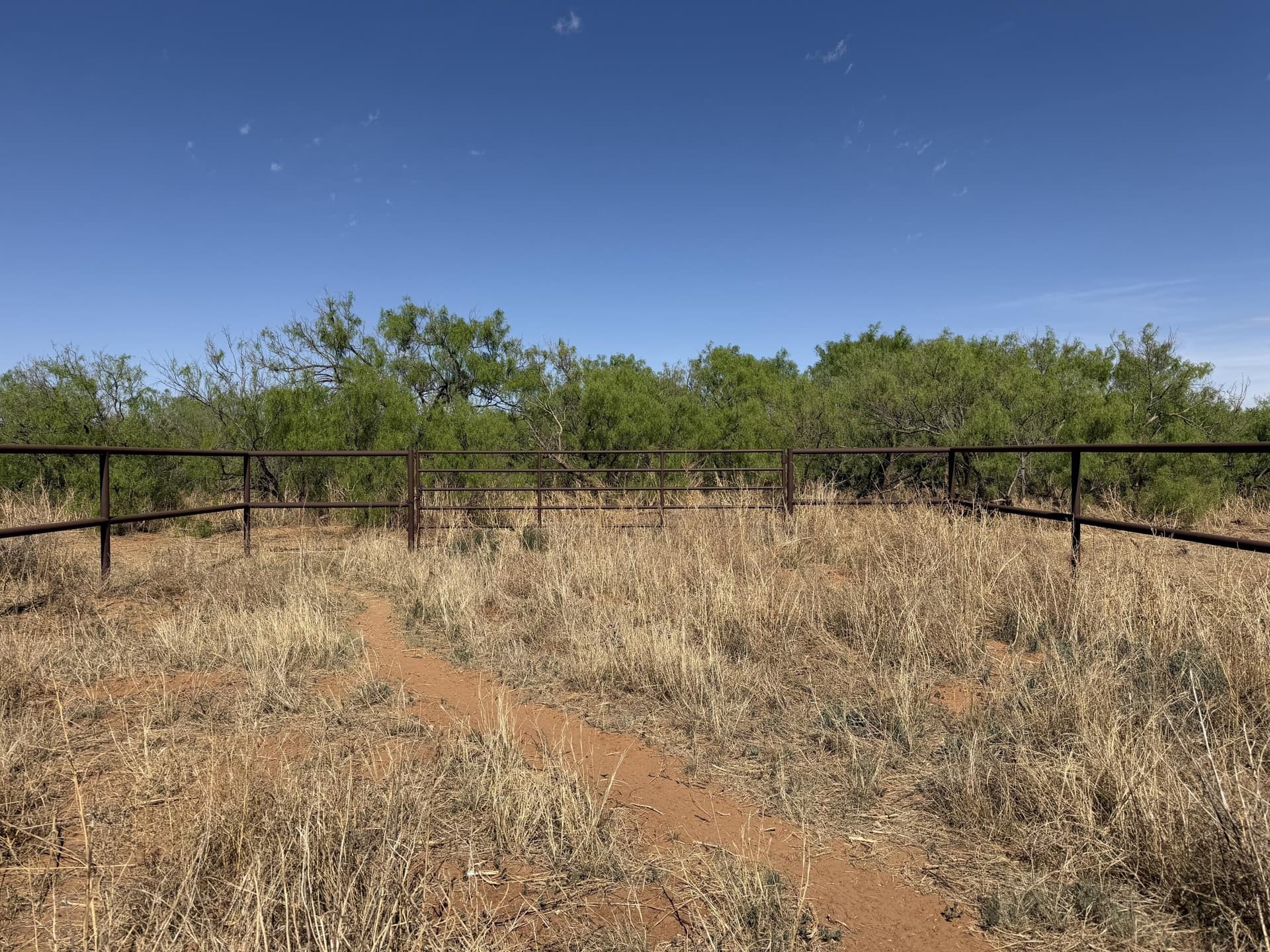 10 acres in Dawson County