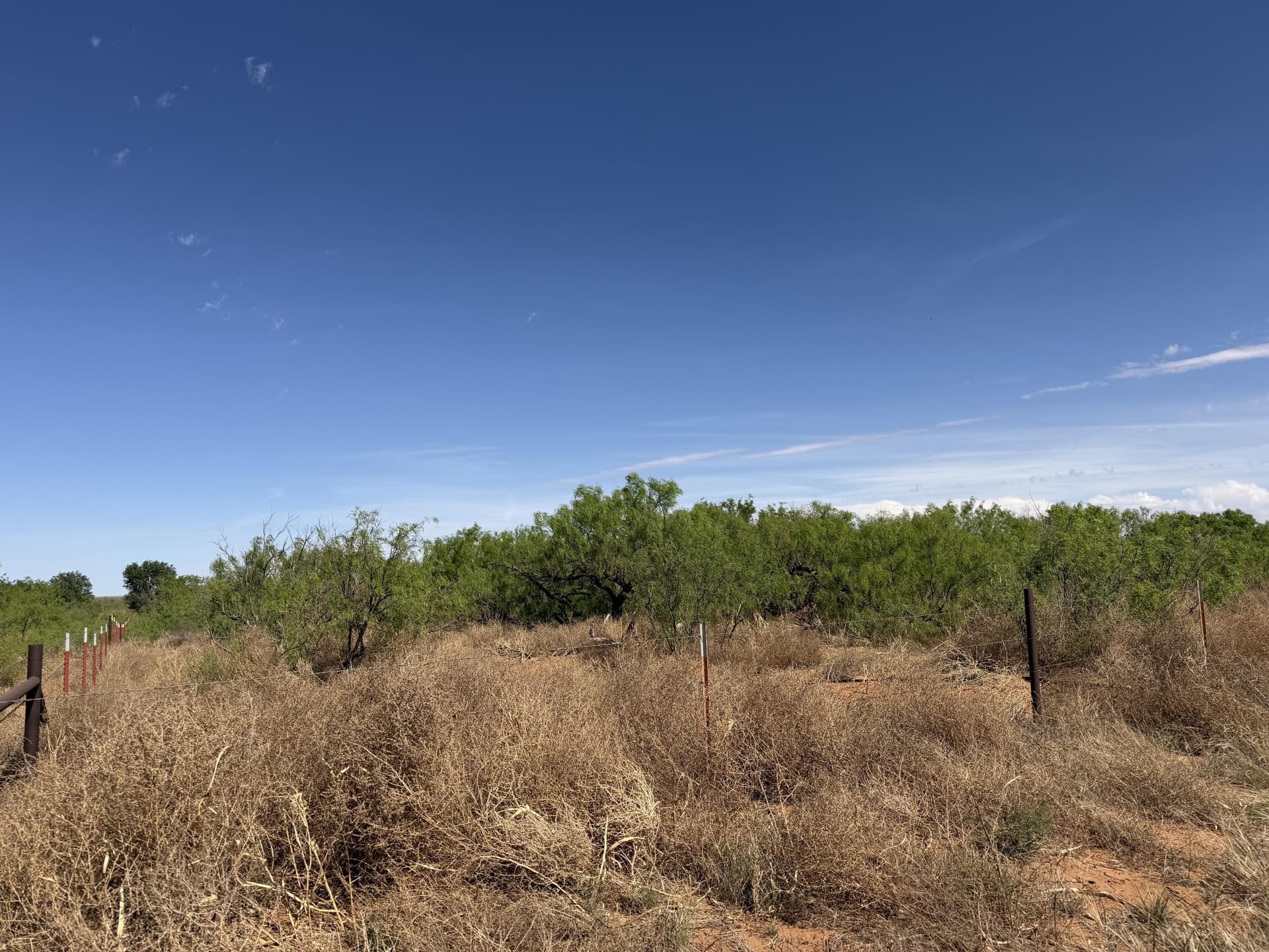 10 acres in Dawson County gallery image 2