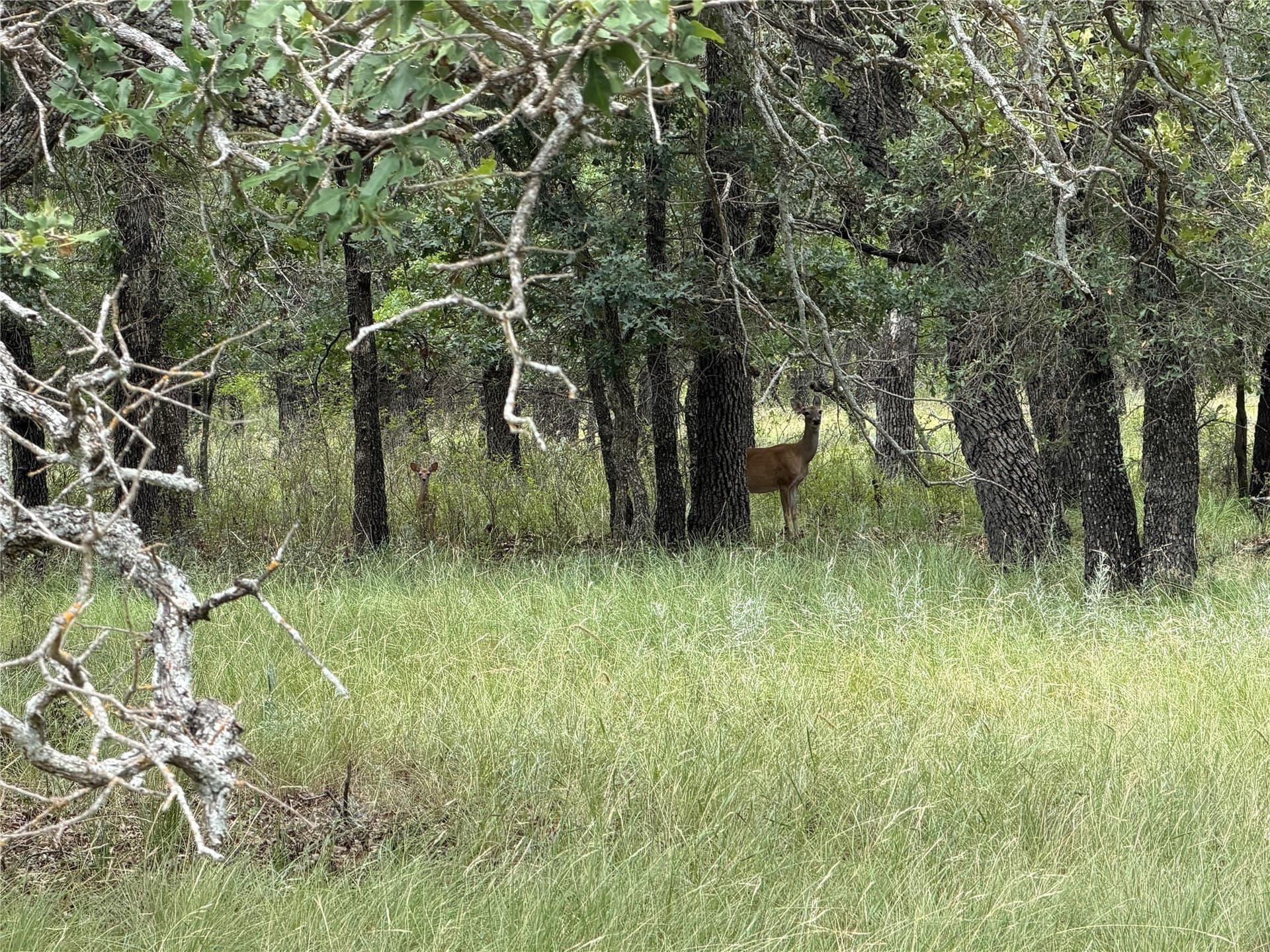 0.52 acres in Brown County - photo 12