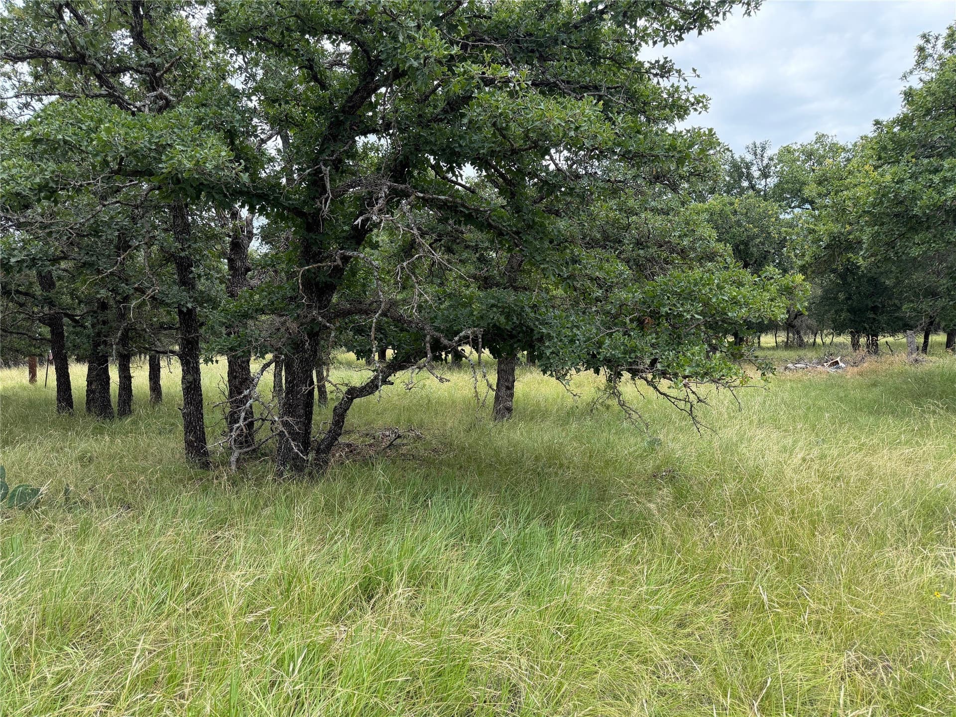 0.52 acres in Brown County - photo 10