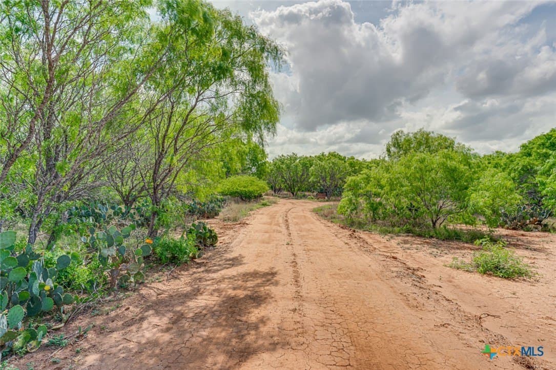 12.04 acres in Atascosa County gallery image 3