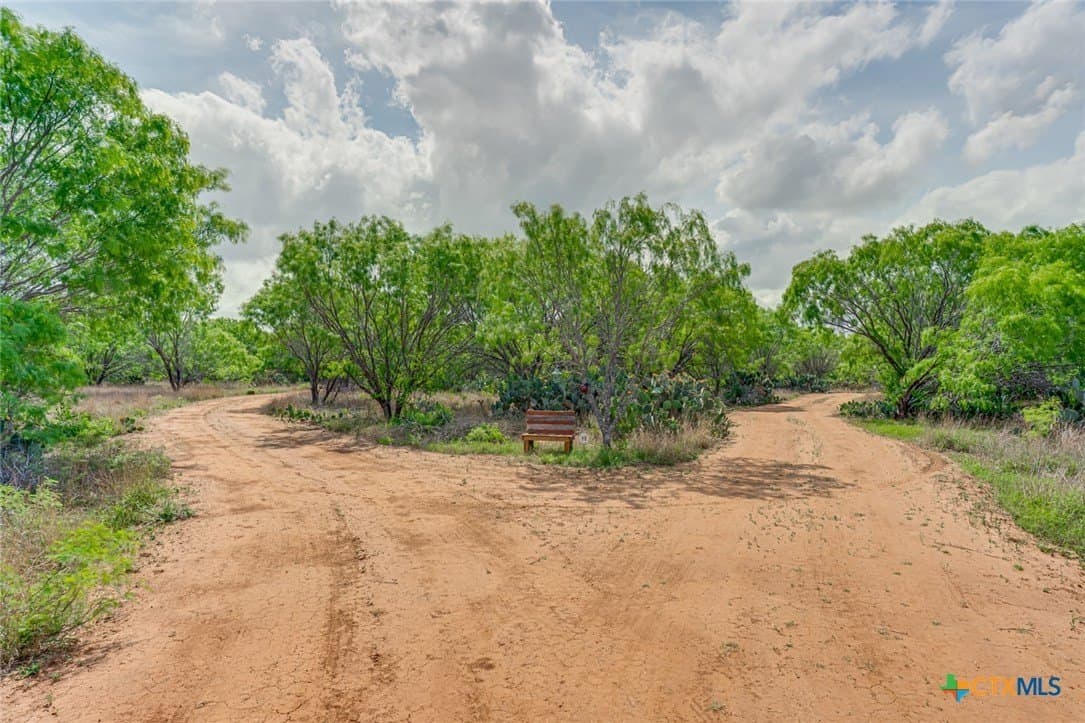 12.04 acres in Atascosa County gallery image 4