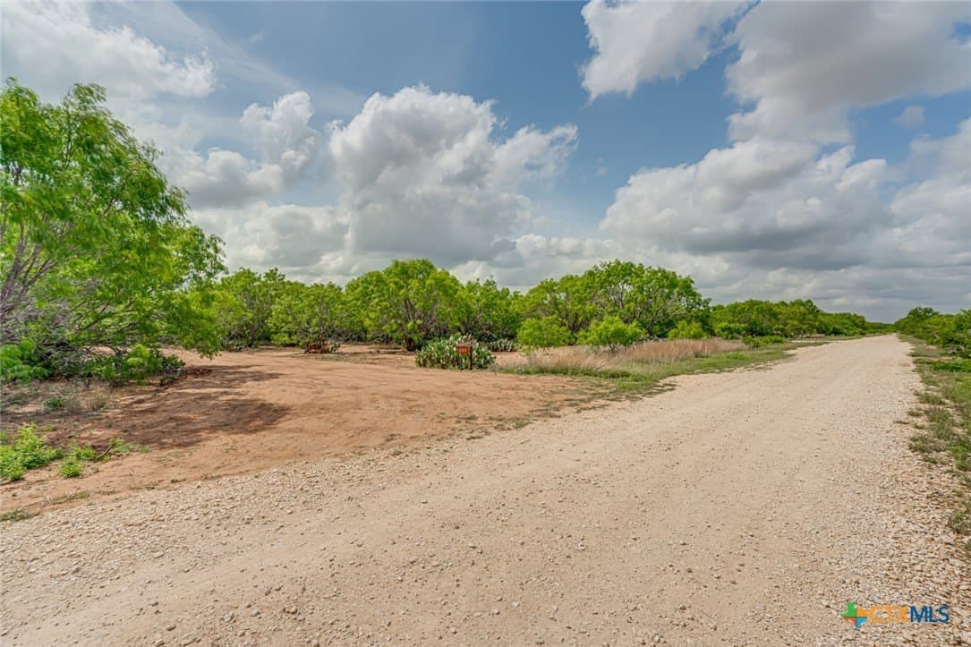 12.04 acres in Atascosa County gallery image 2