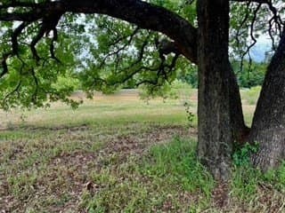 2.07 acres in Johnson County - photo 15