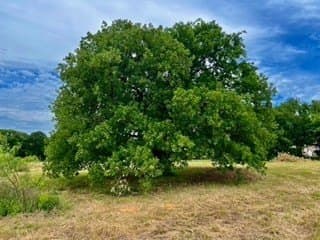 2.07 acres in Johnson County - photo 14