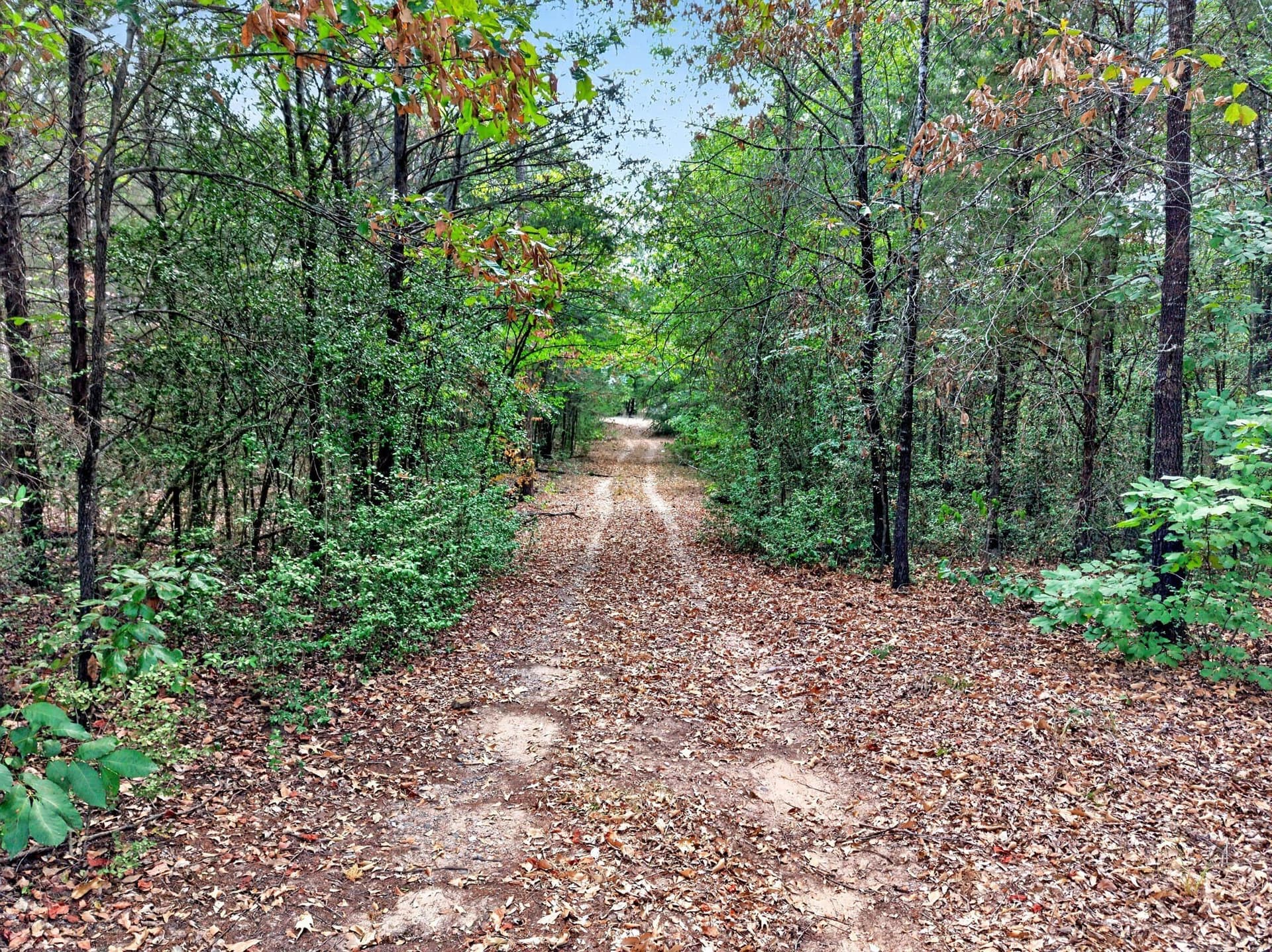 16.31 acres in Anderson County - photo 6