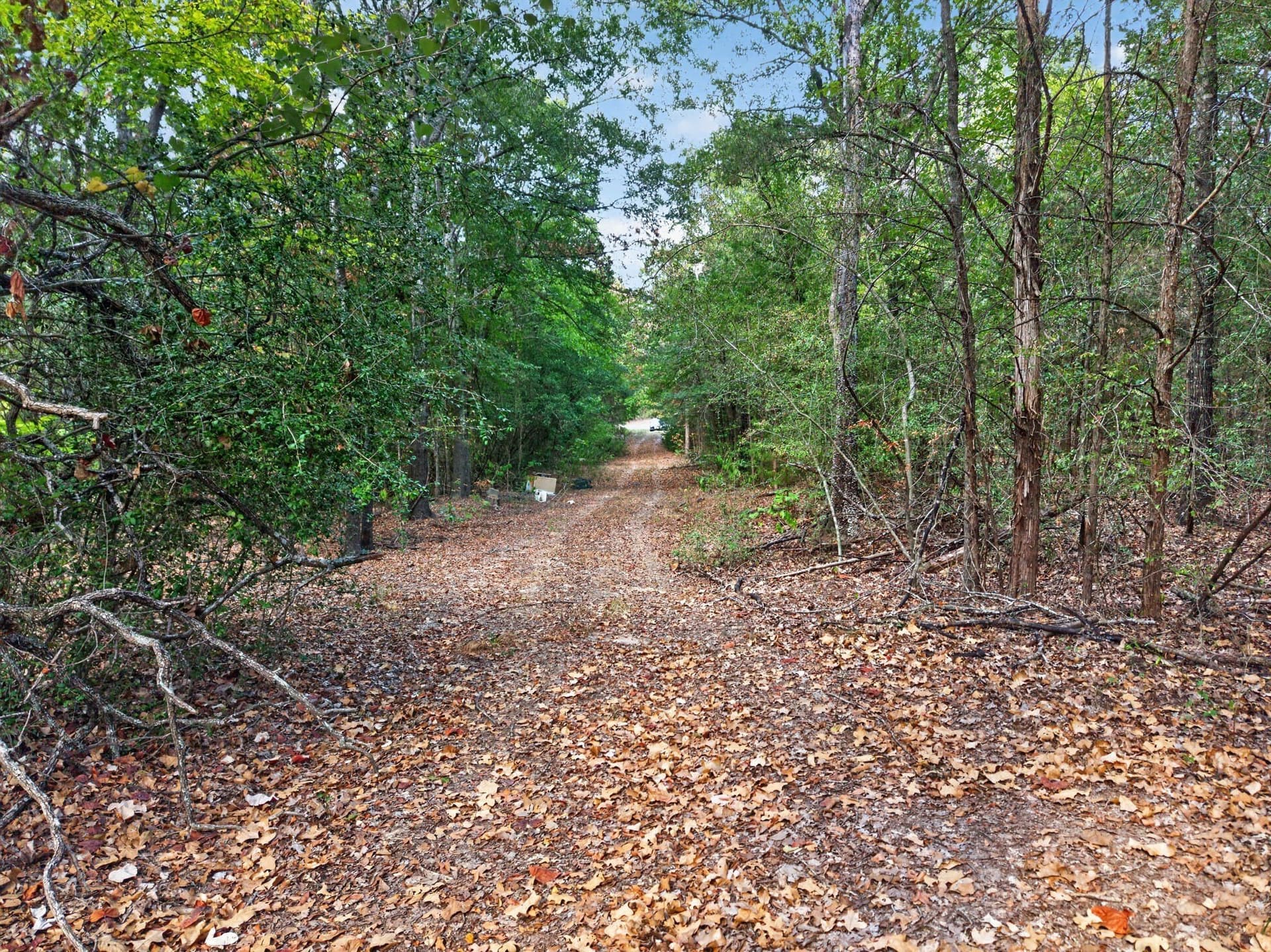 16.31 acres in Anderson County - photo 5