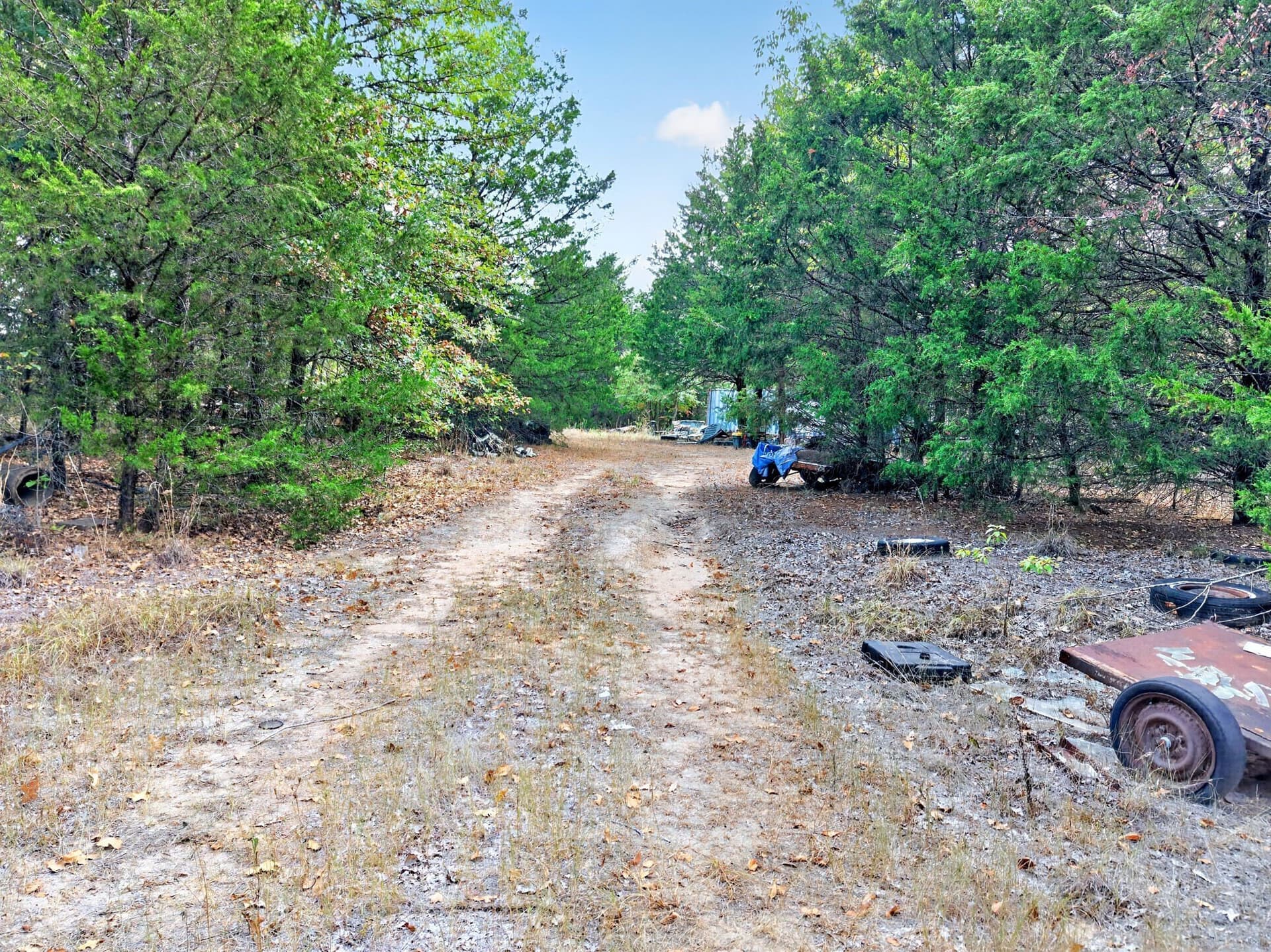 16.31 acres in Anderson County - photo 7