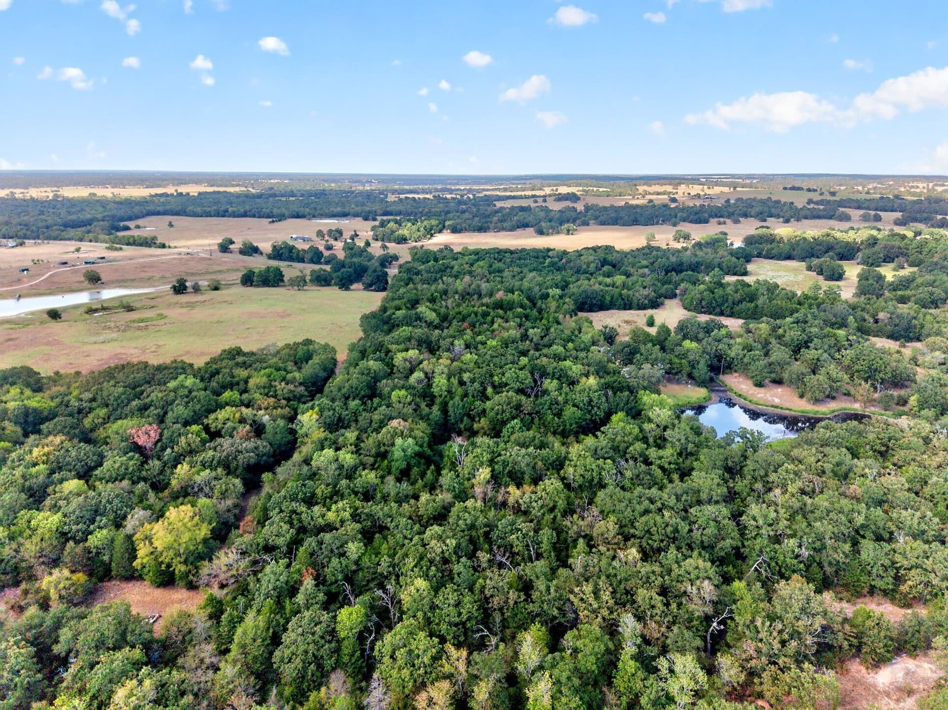 16.31 acres in Anderson County - photo 2