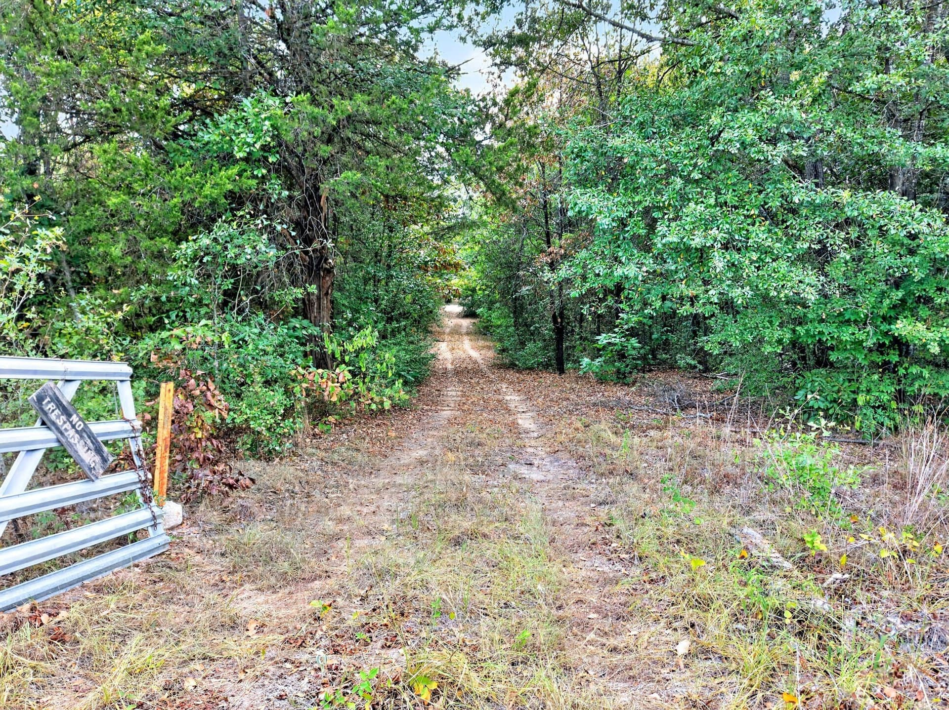 16.31 acres in Anderson County - photo 4