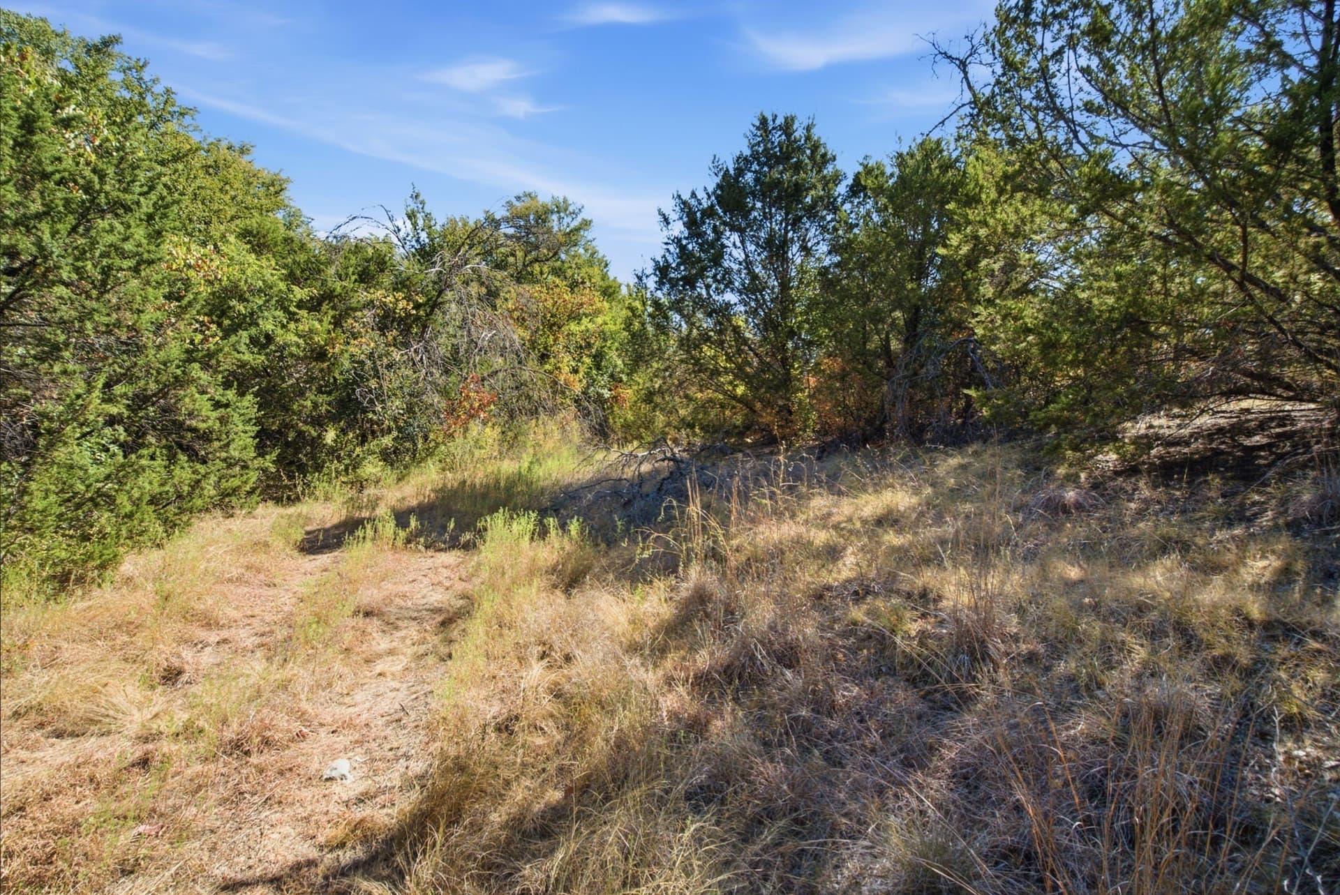 5.05 acres in Parker County - photo 16
