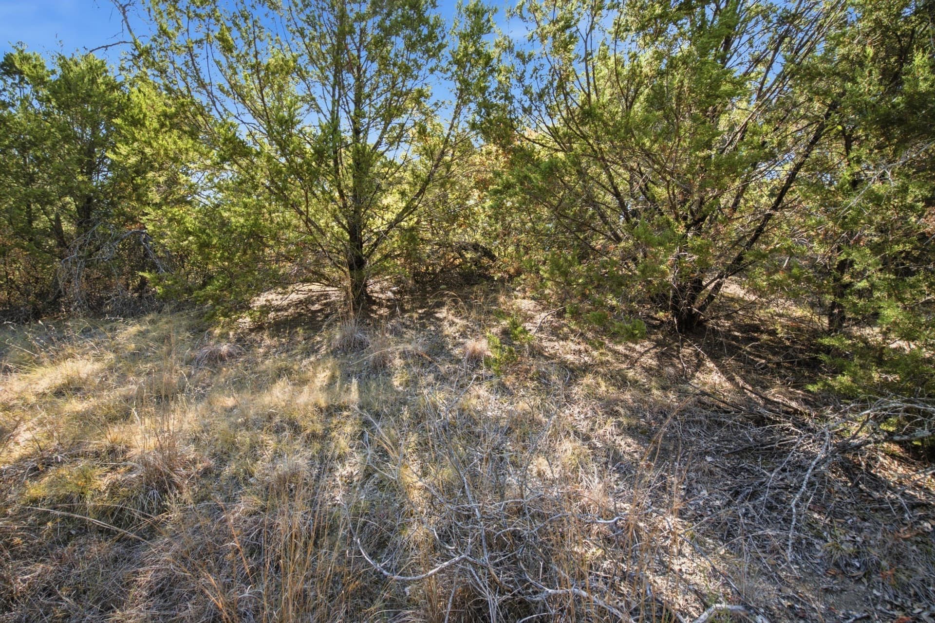 5.05 acres in Parker County - photo 17
