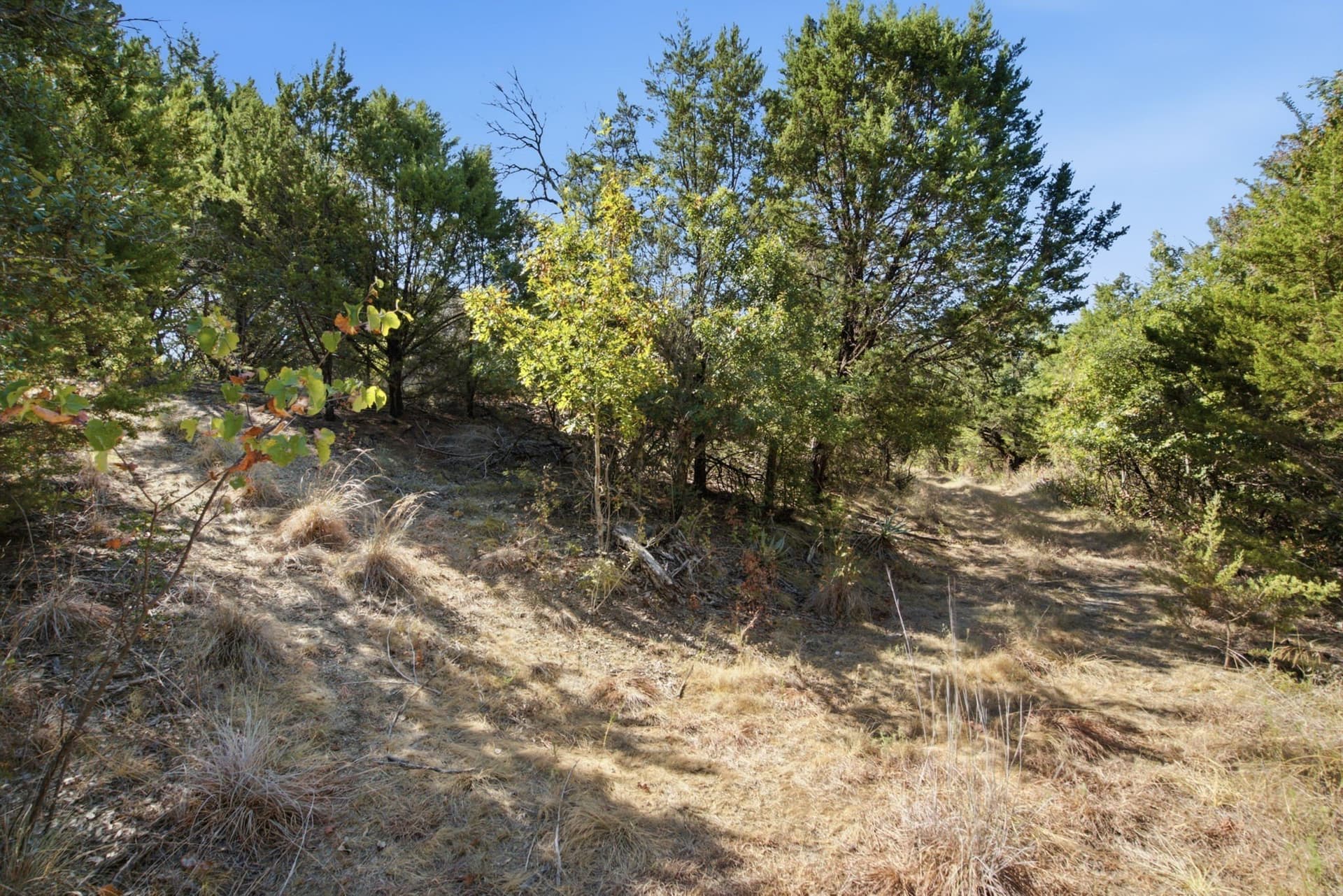 5.05 acres in Parker County - photo 14