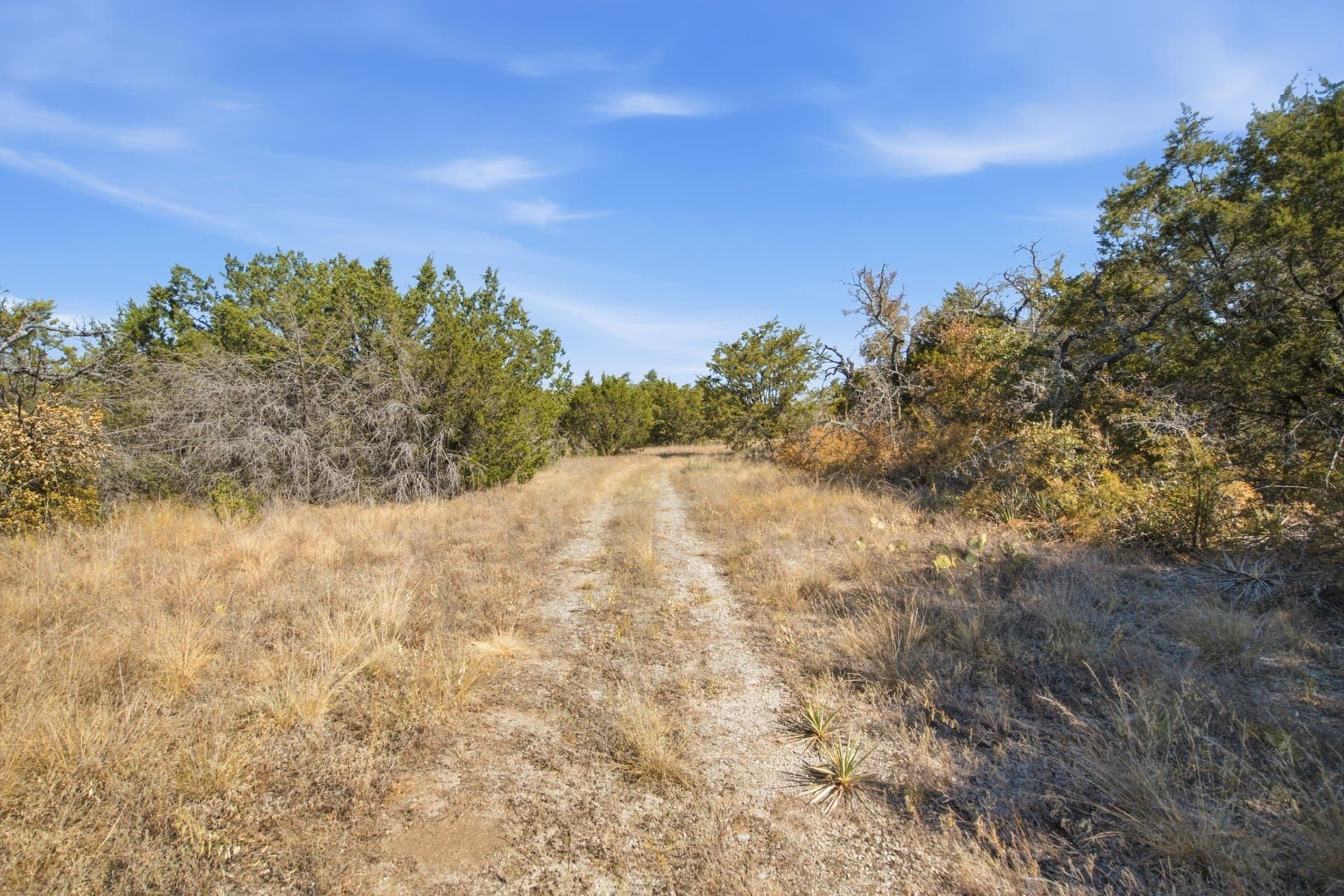 5.05 acres in Parker County - photo 2