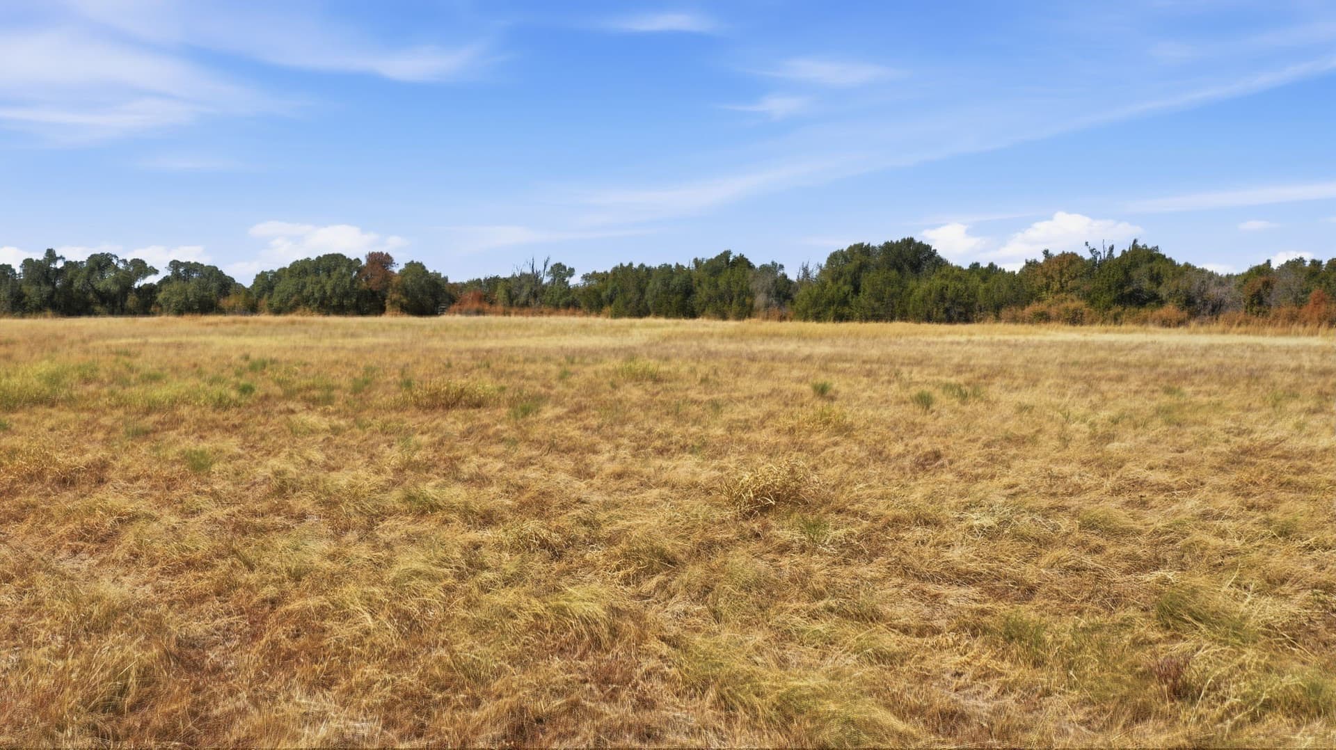 5.05 acres in Parker County - photo 11