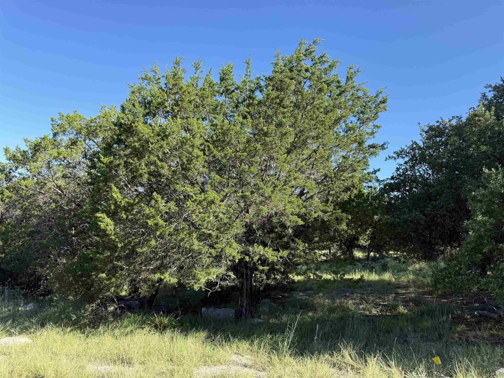 0.24 acres in Llano County gallery image 2