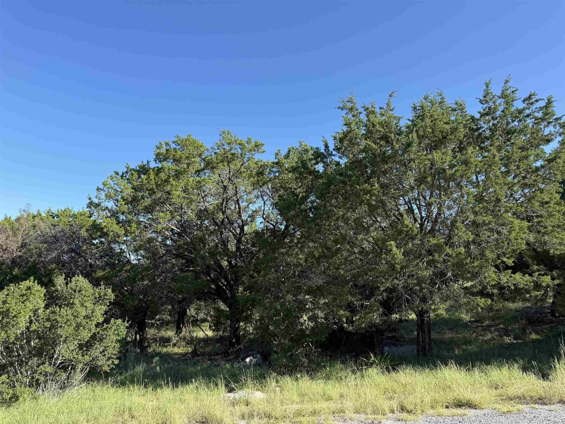 0.24 acres in Llano County gallery image 4