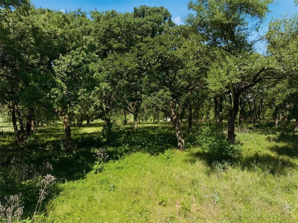 5.07 acres in Hill County featured view