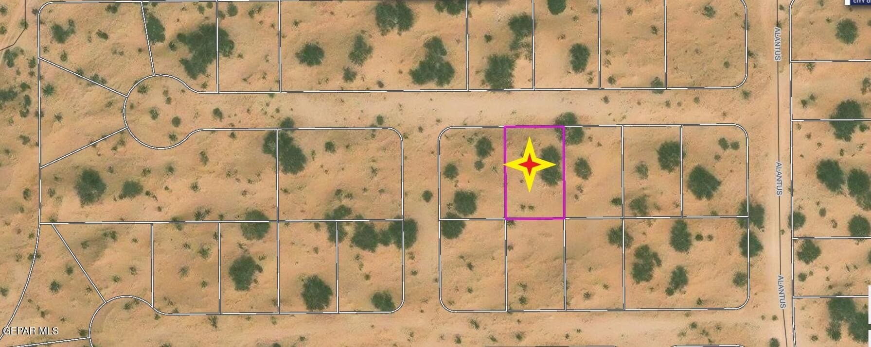 0.23 acres in El Paso County - photo 3