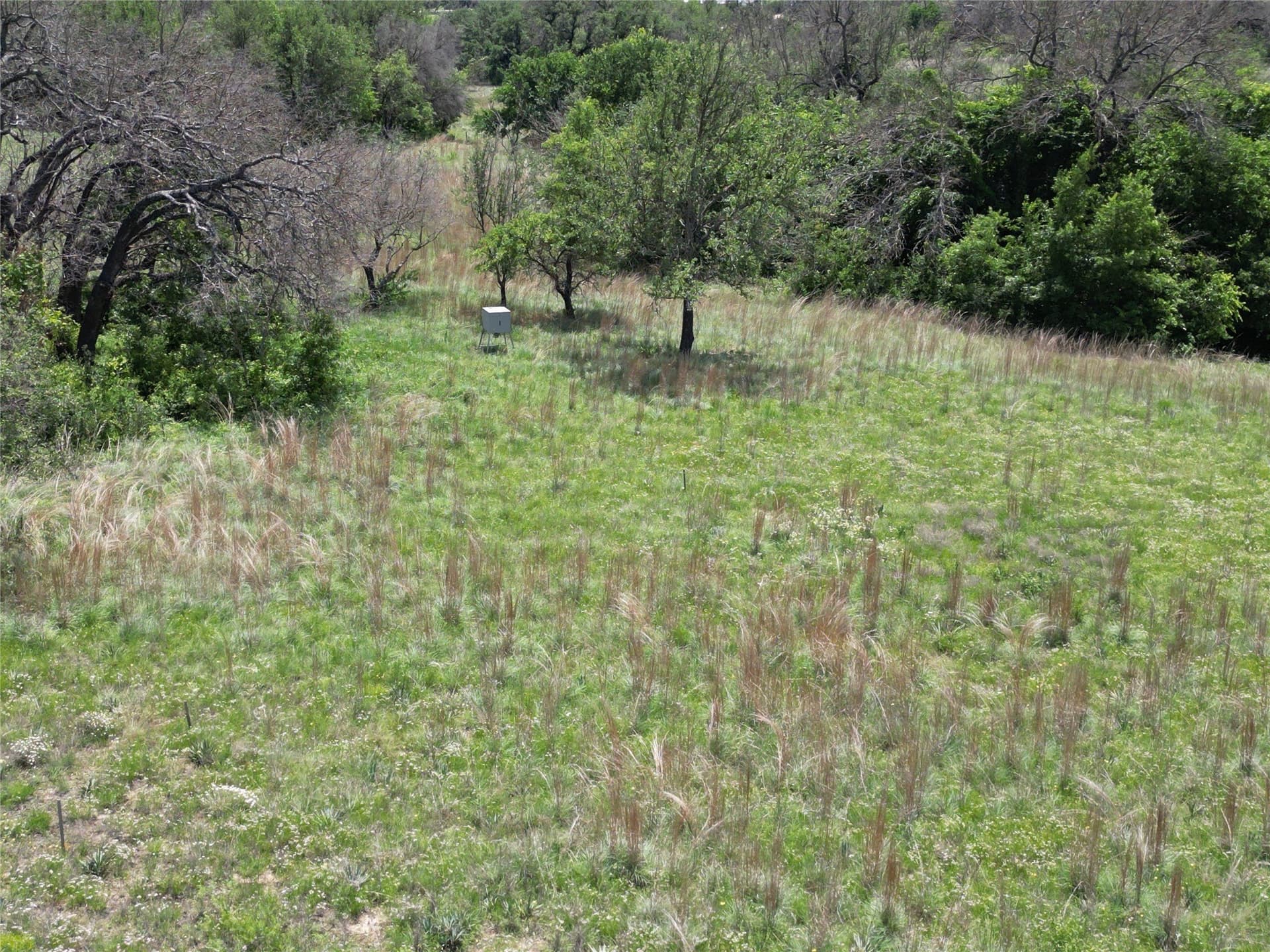 5 acres in Comanche County featured view