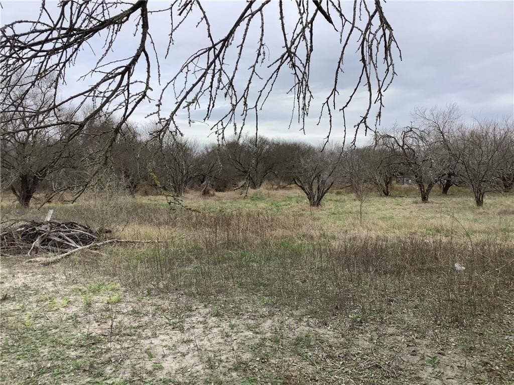 2.22 acres in Nueces County gallery image 3