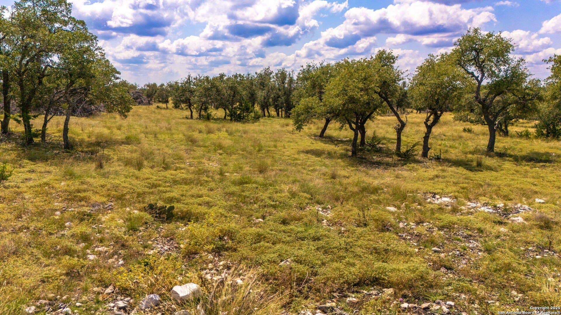 10.08 acres in Gillespie County - photo 20