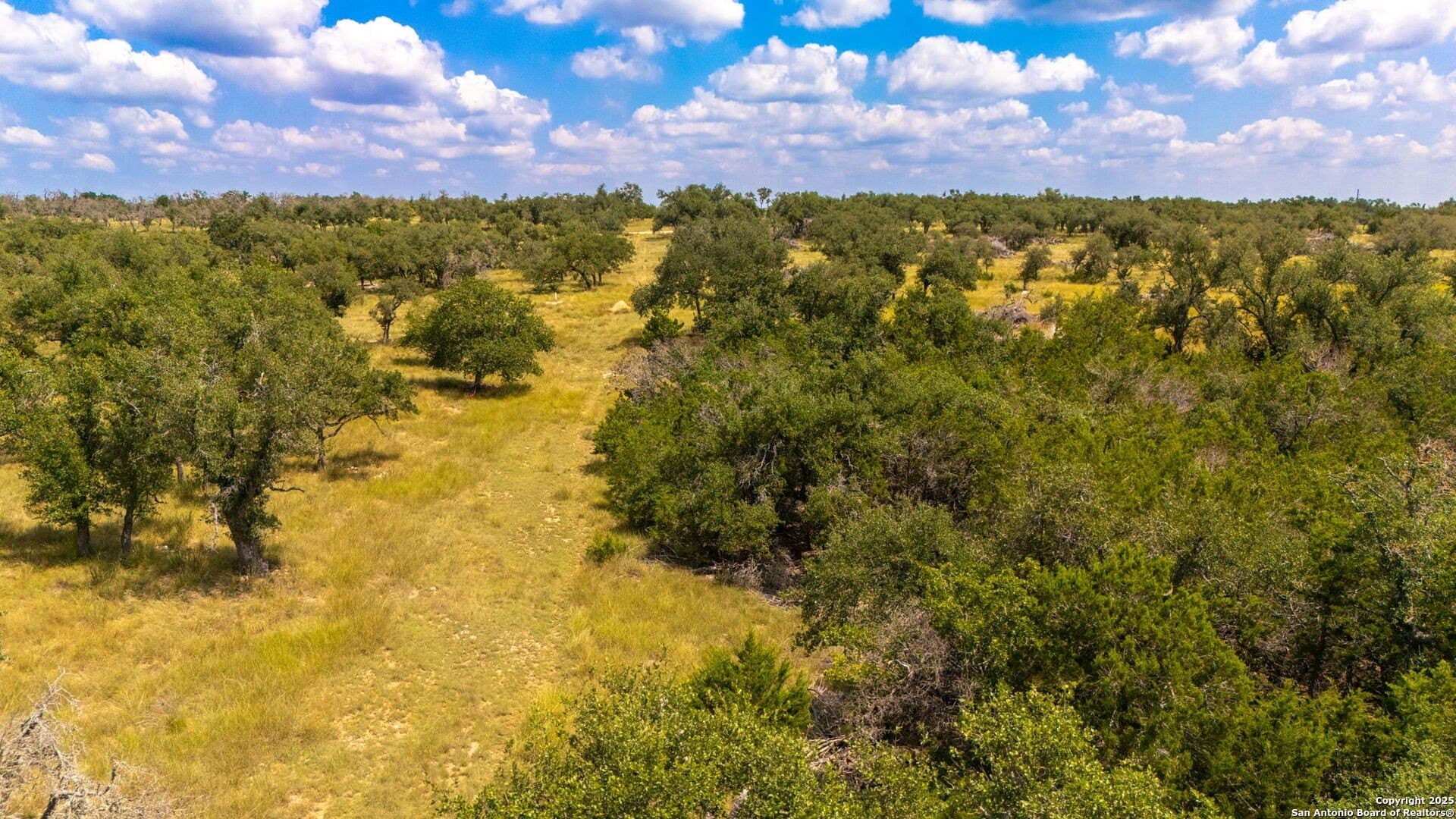 10.08 acres in Gillespie County - photo 14