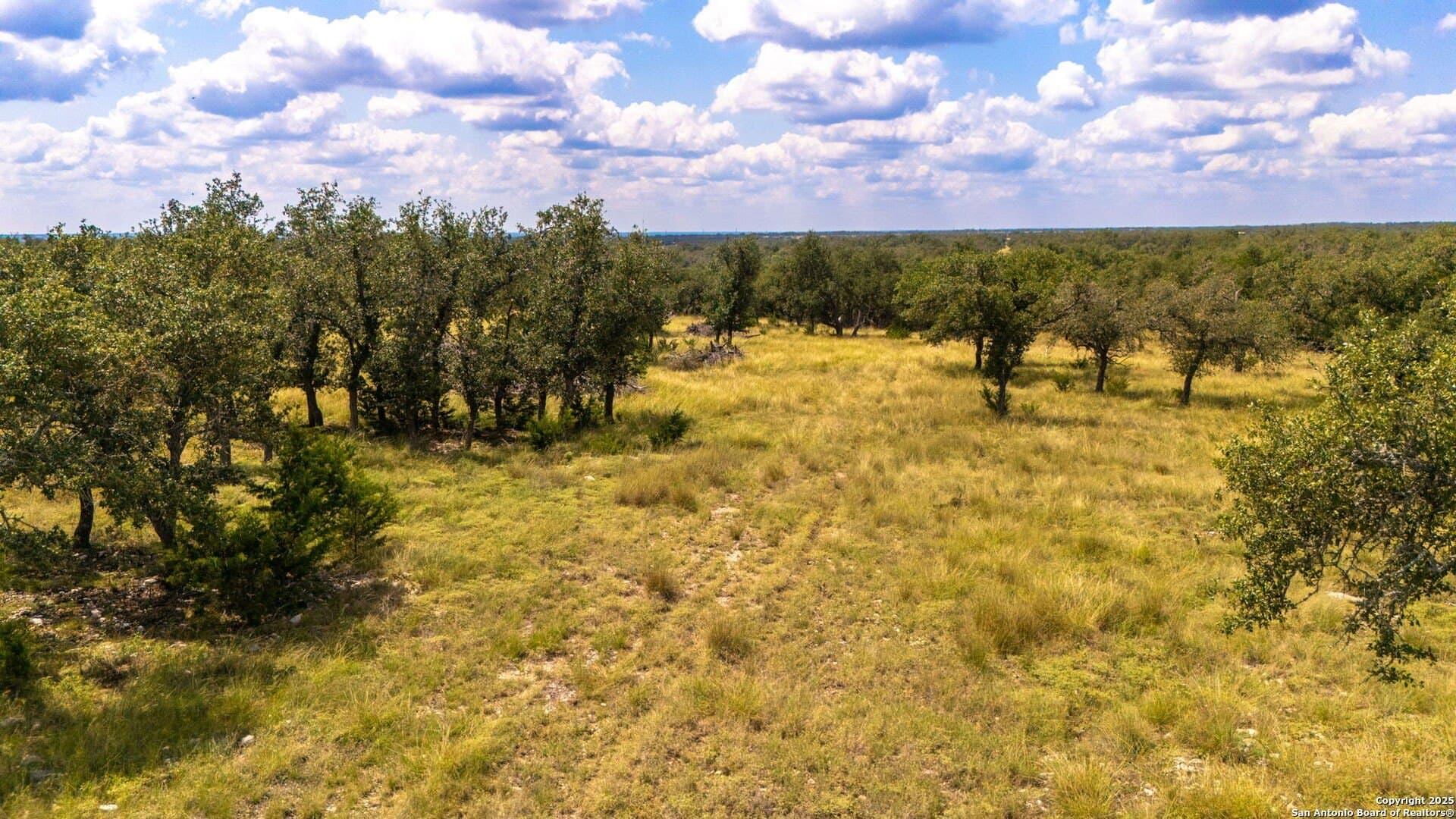 10.08 acres in Gillespie County - photo 21