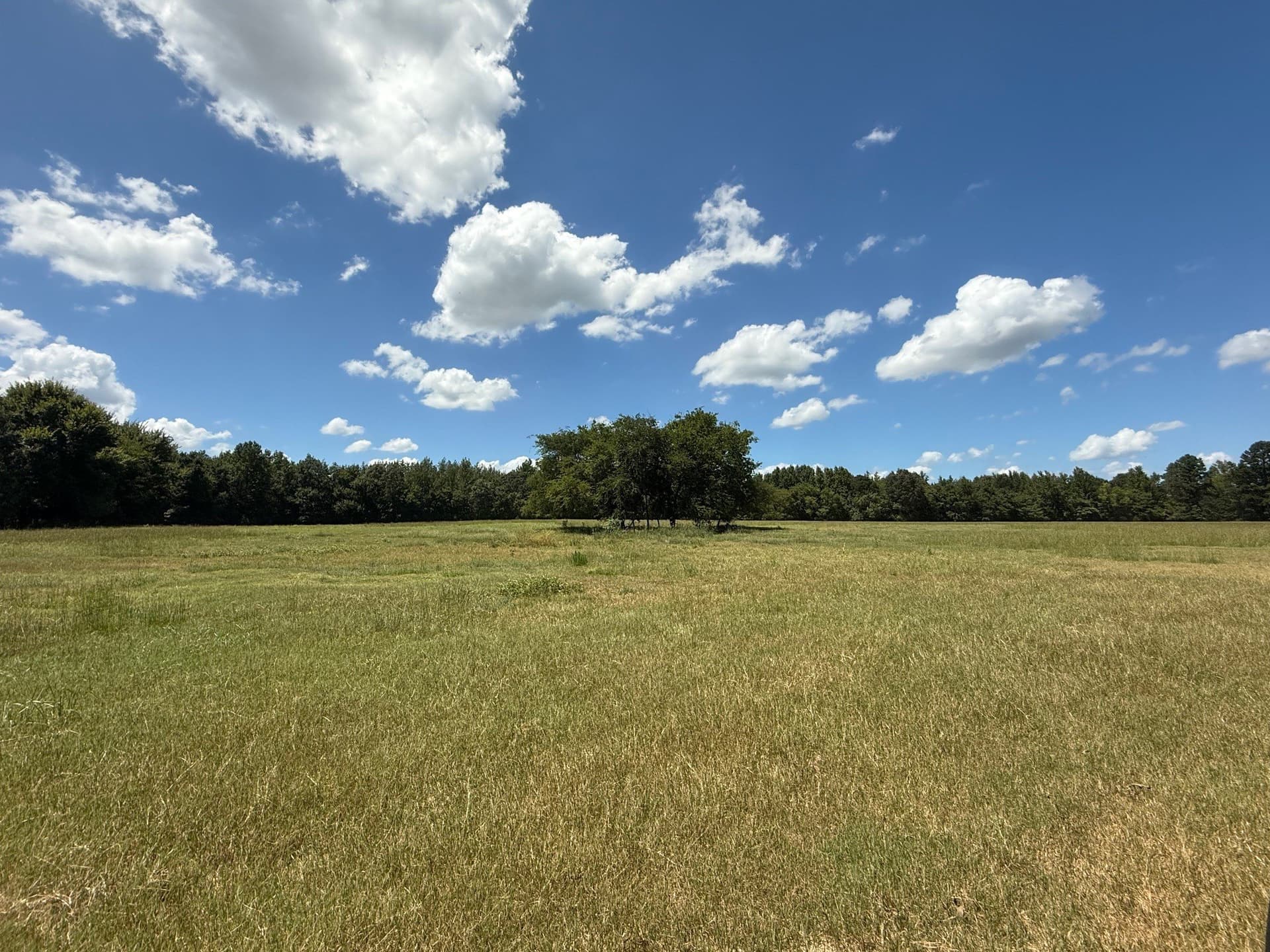 59.7 acres in Titus County - photo 3