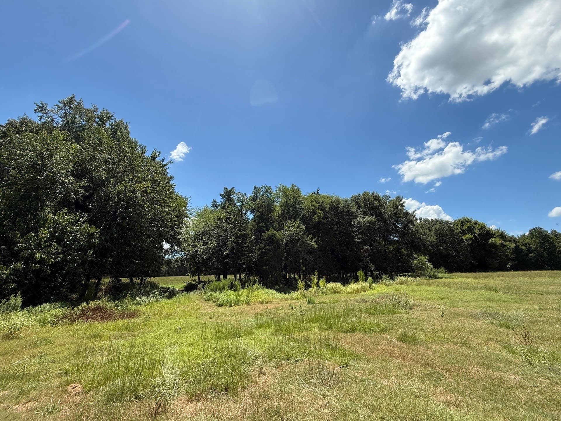 59.7 acres in Titus County - photo 2