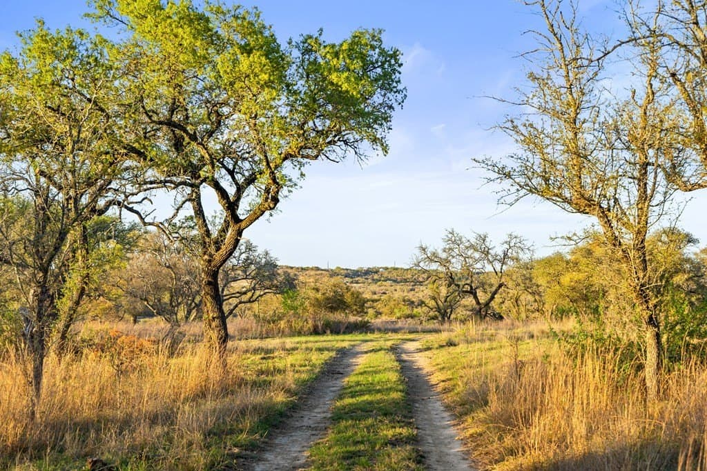 120 acres in Blanco County - photo 19