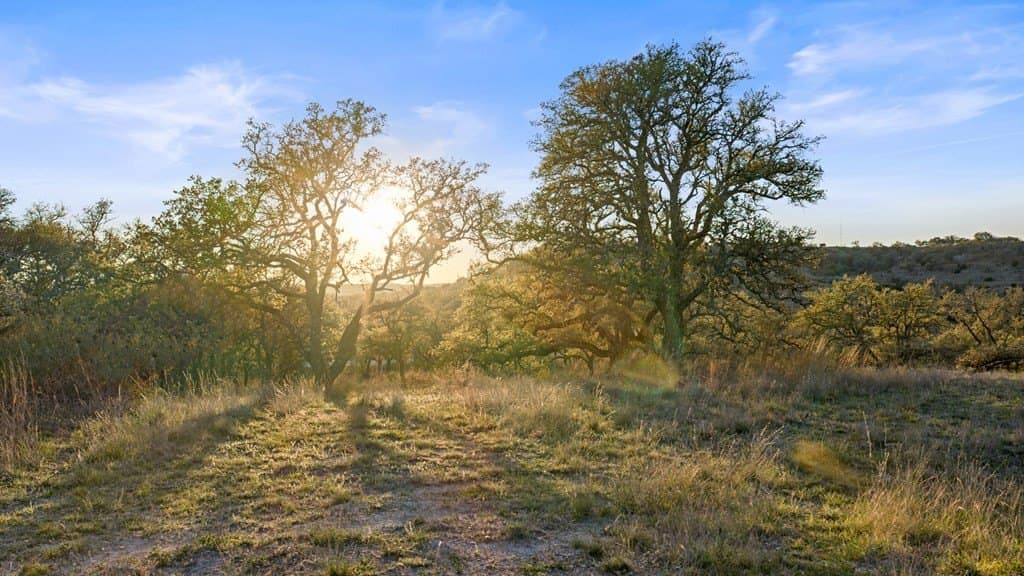 120 acres in Blanco County - photo 11