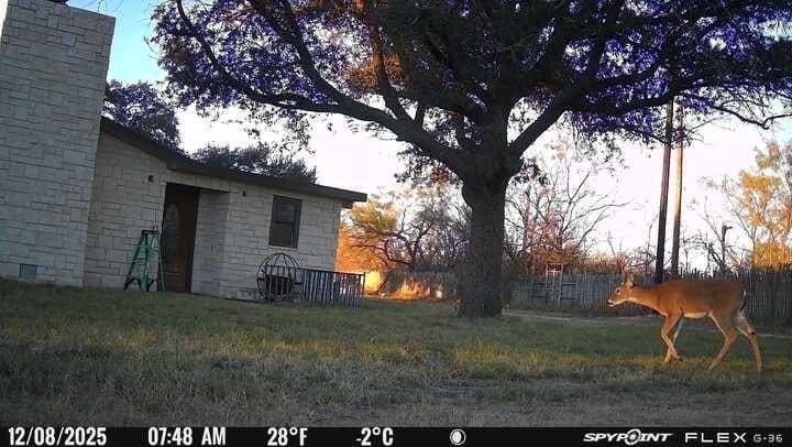 10 acres in Irion County - photo 6