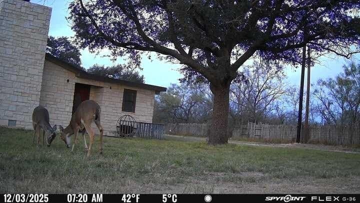 10 acres in Irion County - photo 50