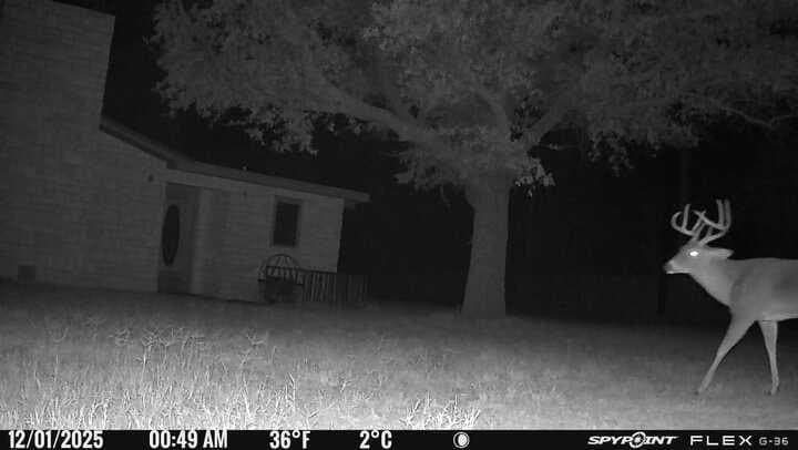 10 acres in Irion County - photo 49