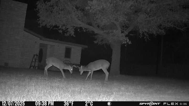 10 acres in Irion County - photo 51