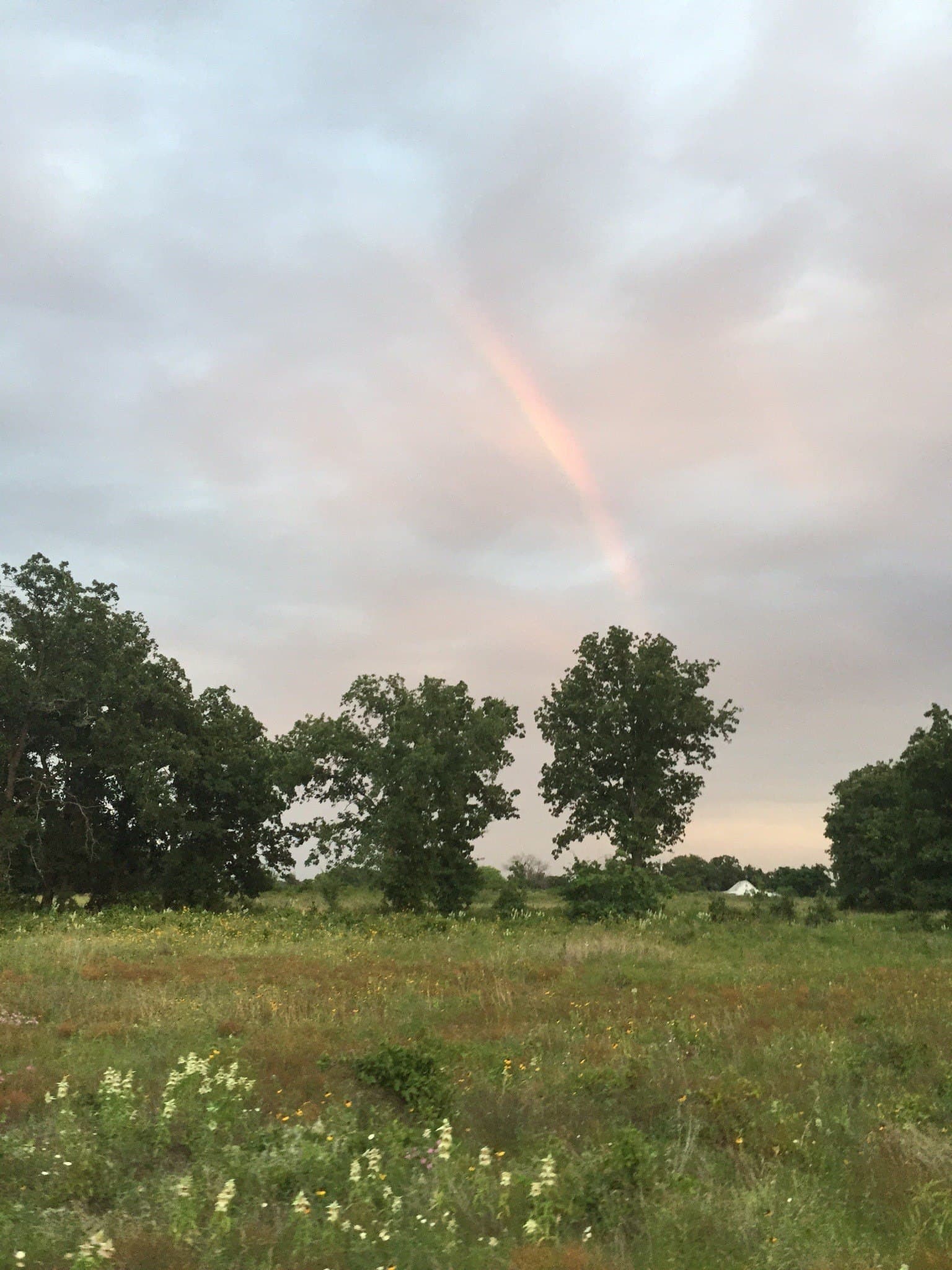 11.83 acres in Bosque County - photo 8