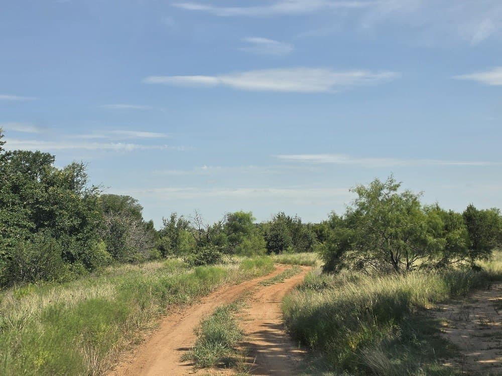 11.83 acres in Bosque County - photo 4