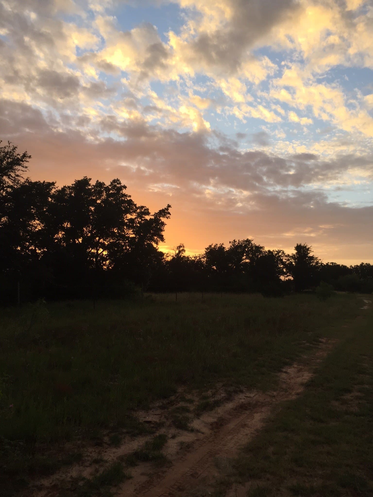 11.83 acres in Bosque County - photo 7