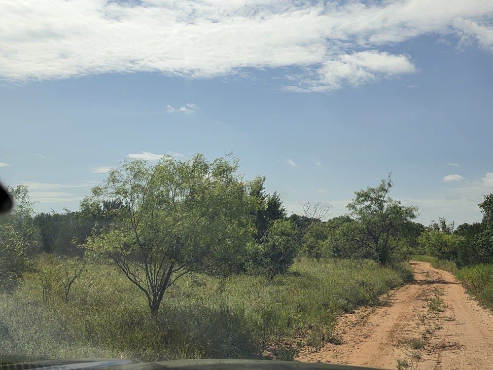11.83 acres in Bosque County - photo 3
