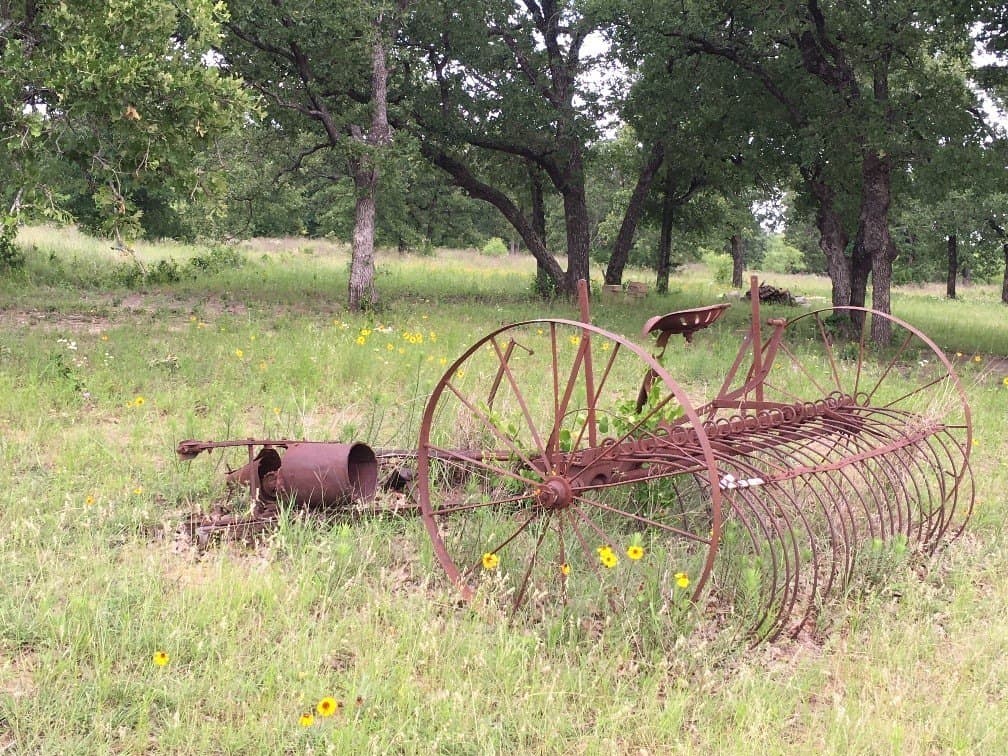 11.83 acres in Bosque County - photo 5