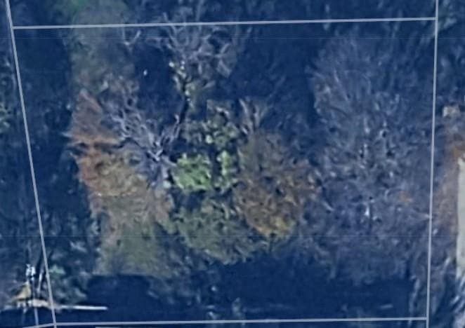 0.22 acres in Henderson County